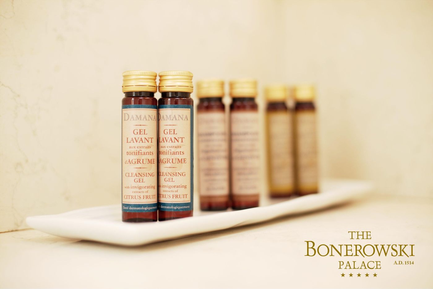 The-Bonerowski-Palace-Room-46