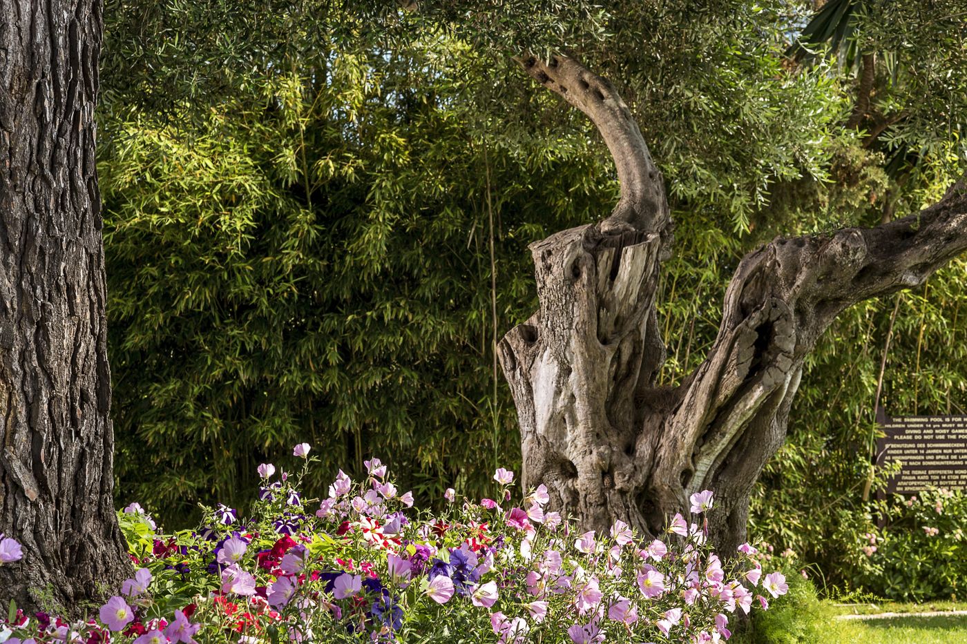 Kontokali-Bay-Terrace-18