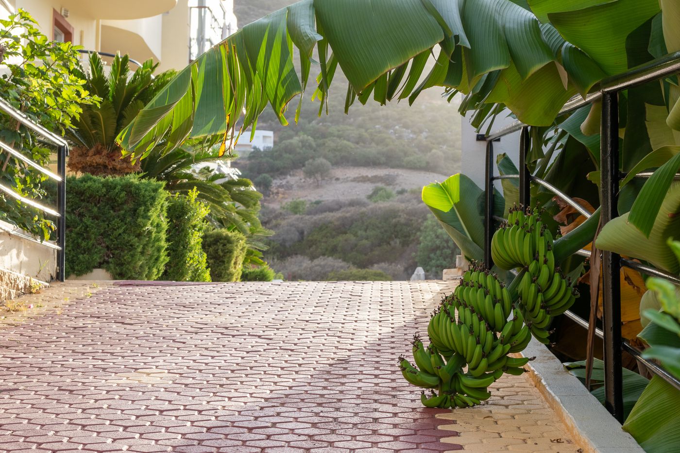 Elpis-Studios---Apartments-General-view-17