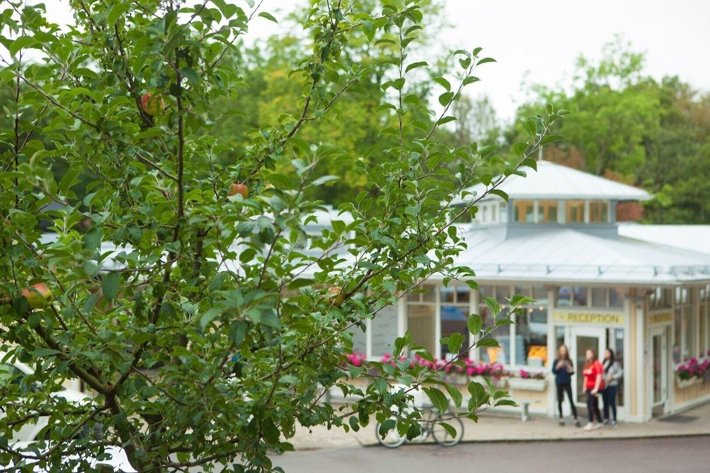 Lisebergsbyn Bed & Breakfast-Sweden-GOTHENBURG-General view-6