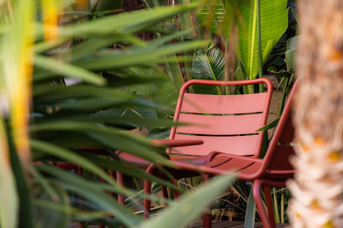 Staybridge Suites Cannes Centre - France - Cannes - Terrace - 3