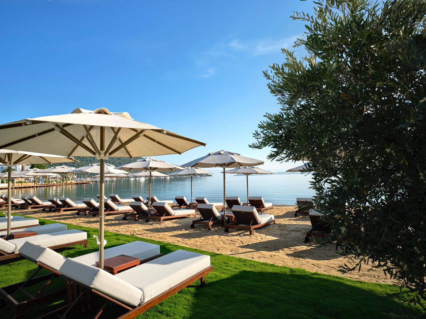 Voyage Torba and Private