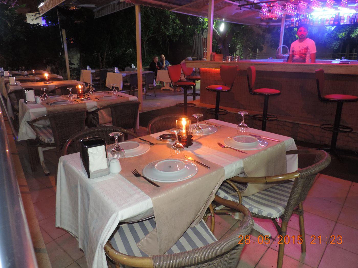 Banana-General-view-6