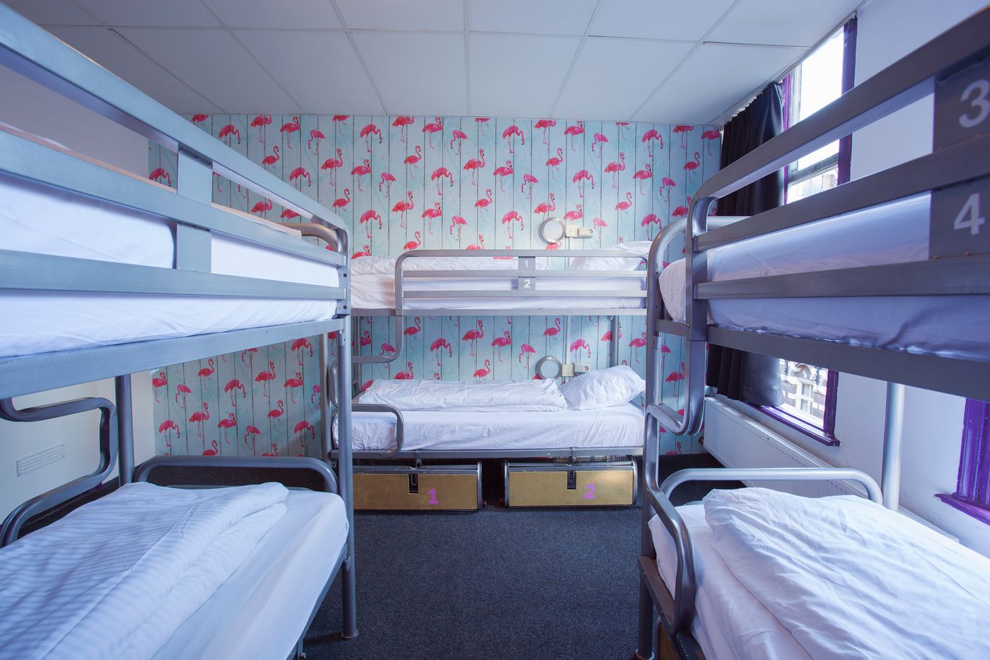 Flying-Pigs-Downtown-Hostel-Amsterdam-Room-5