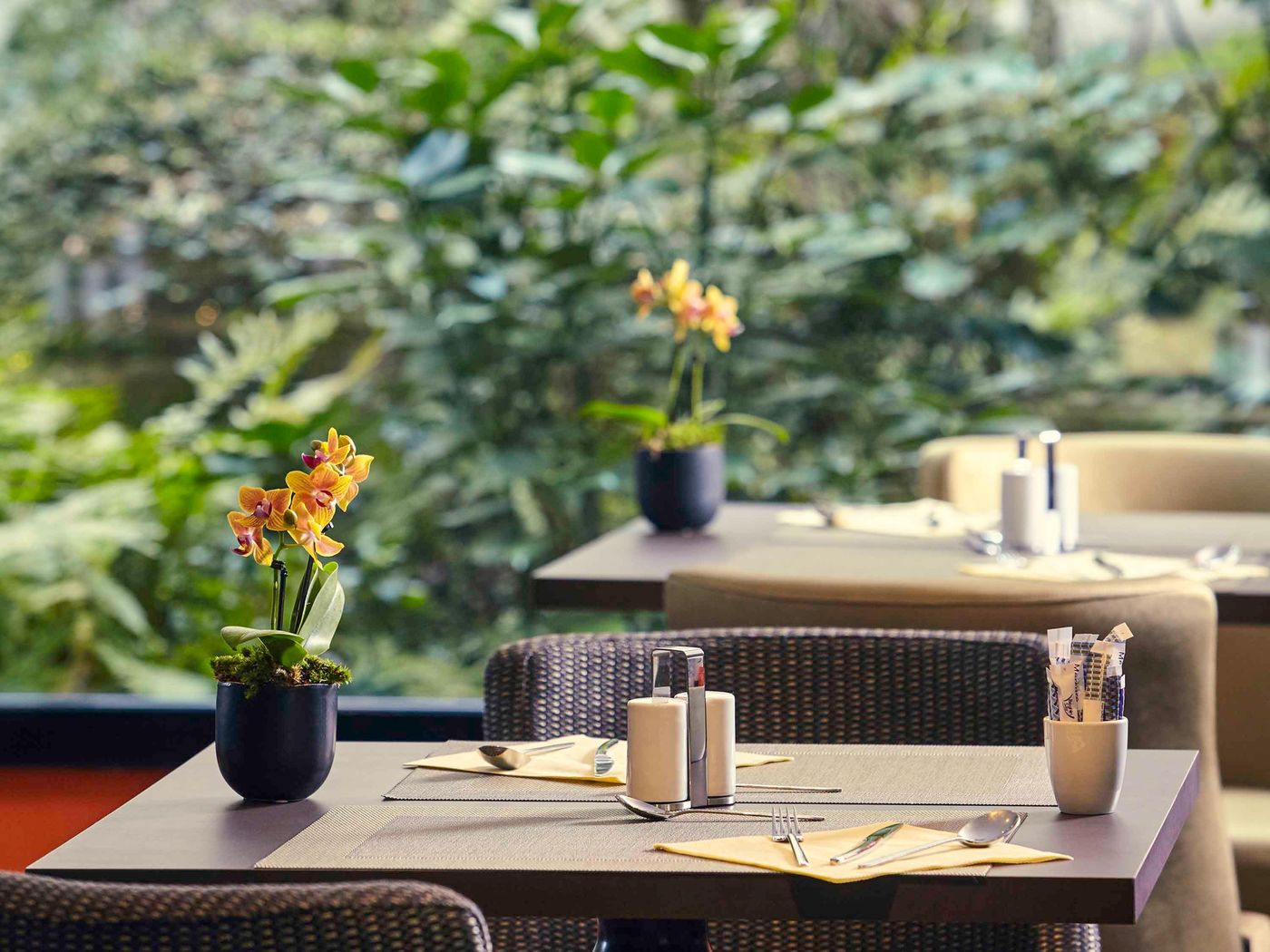 Hotel-Mercure-Paris-Tour-Eiffel-Grenelle-Sports-and-Entertainment-47