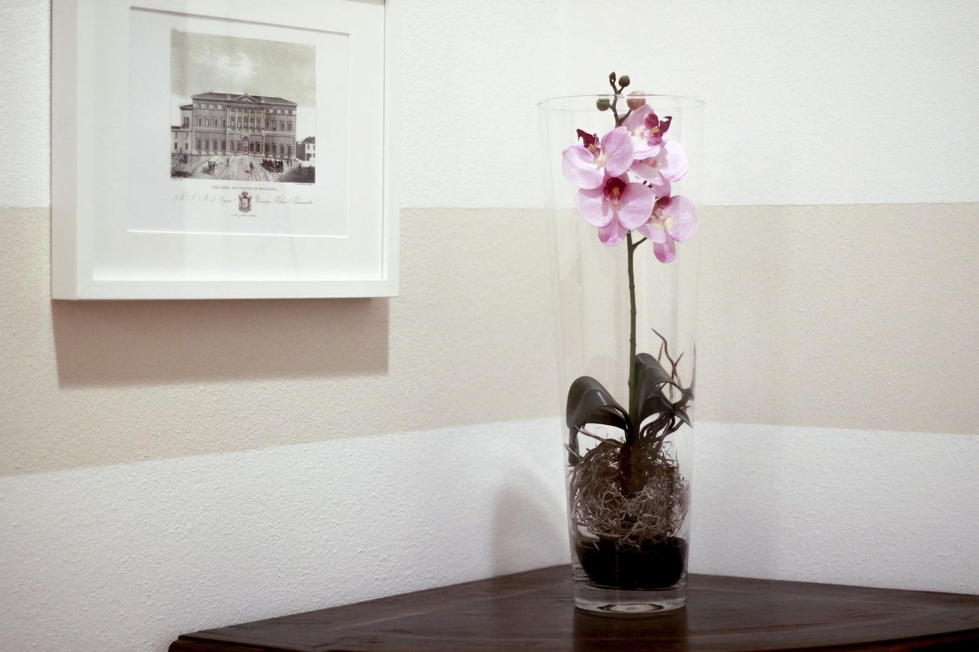 Casa Isolani Piazza Maggiore - Italy - BOLOGNA - Lobby - 10