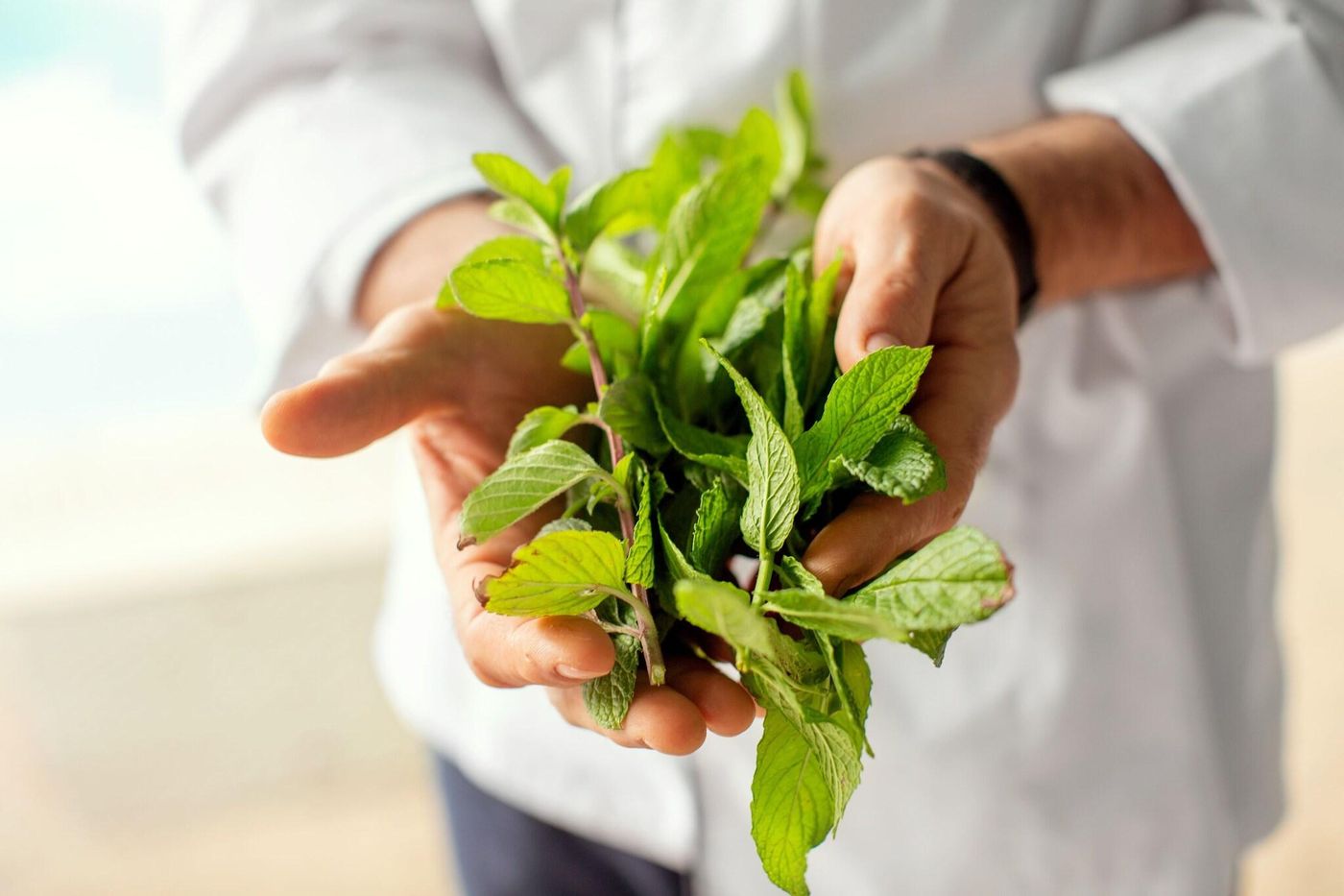 Mediterranean-Village-Restaurant-46