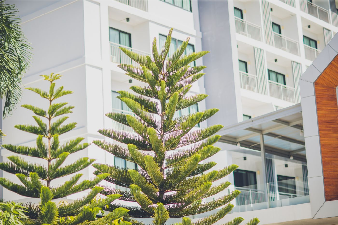 Phavina Grand Boutique by ZUZU-Thailand-Rayong-General view-2