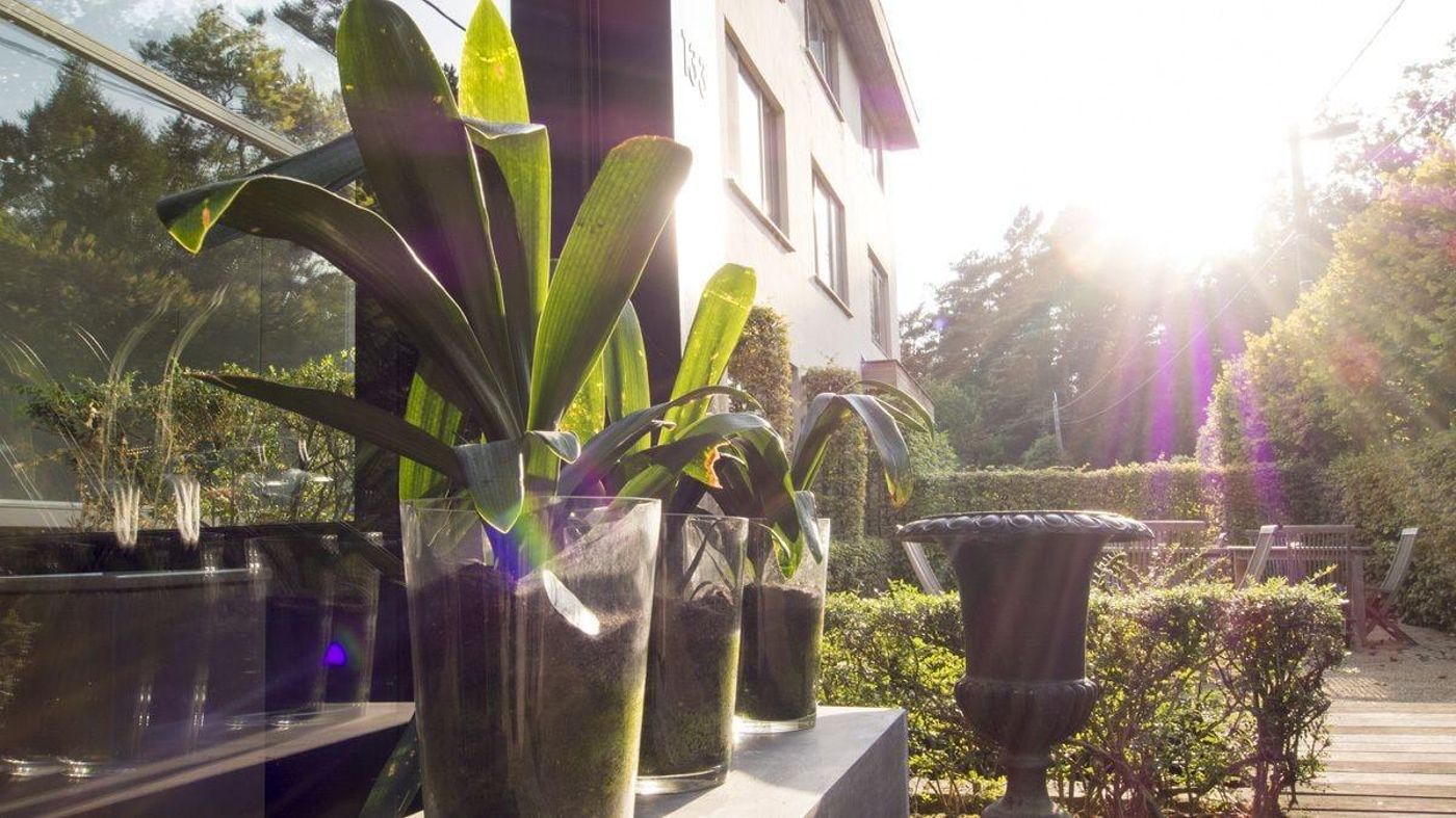 Domein Martinus-Belgium-ZOERSEL-General view-4