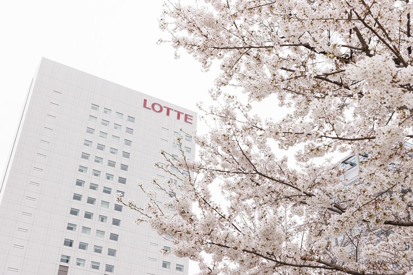 Lotte City Hotel Kinshicho Tokyo-Japan-Tokyo-General view-5