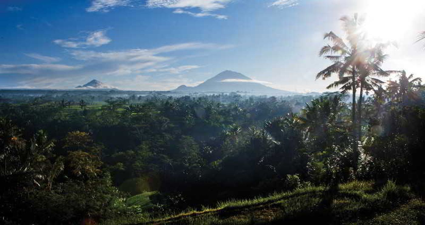 Four Seasons Resort Bali At Sayan-Indonesia-Bali-General view-3