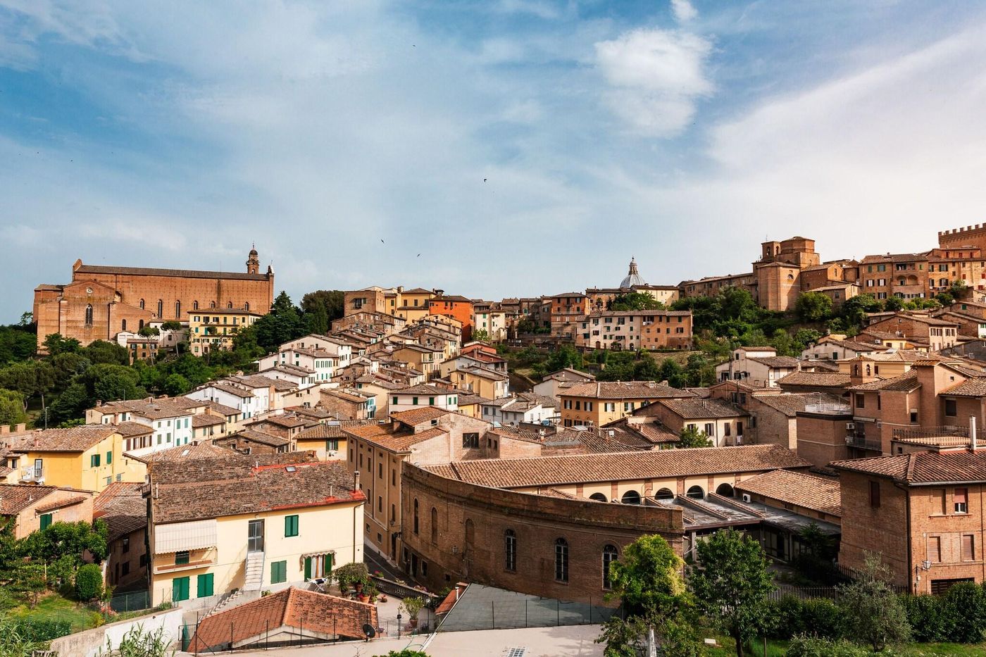 Minerva-General-view-60