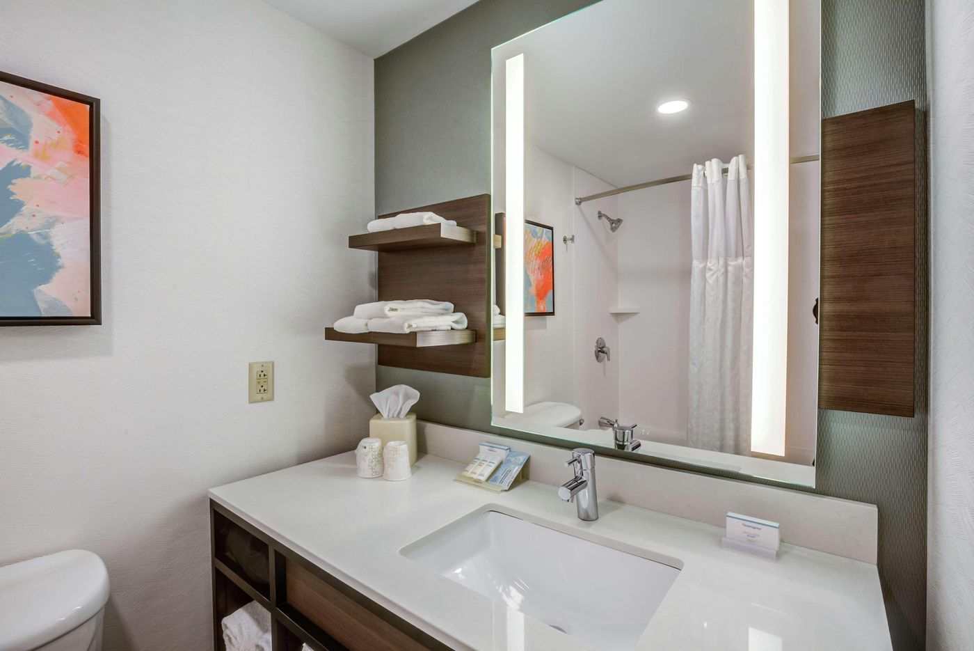 Hilton-Garden-Inn-Boston-Waltham-Room-24