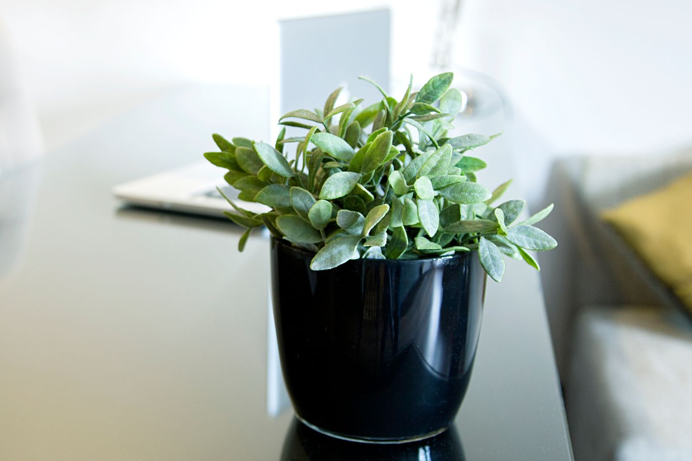 Quentin-Boutique-Hotel-Room-21