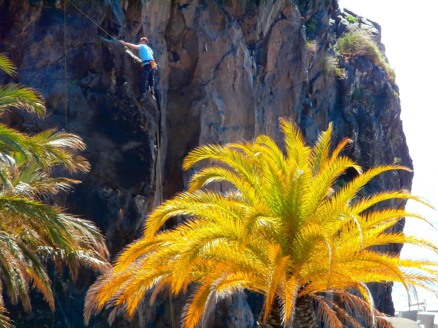 Cheerfulway-Bravamar-Hotel-Sports-and-Entertainment-9