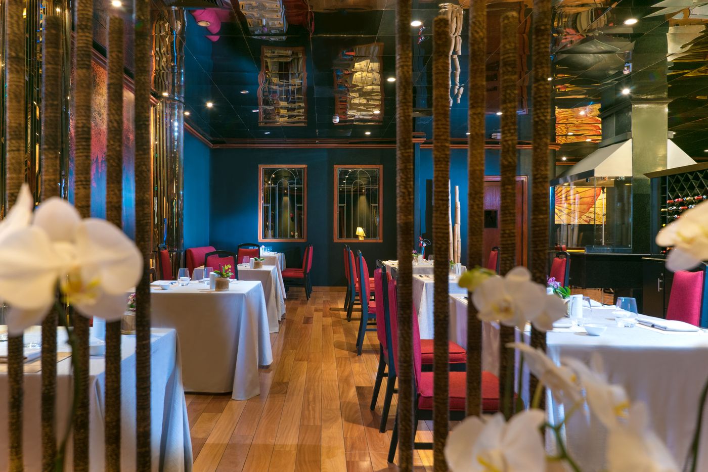 Barcelo Santo Domingo