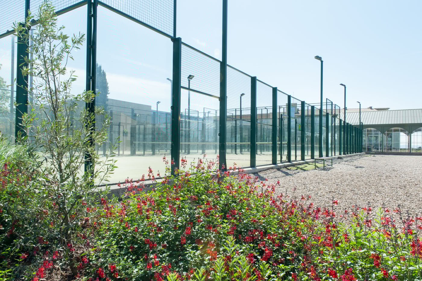 Mas-Sola-Sports-and-Entertainment-60