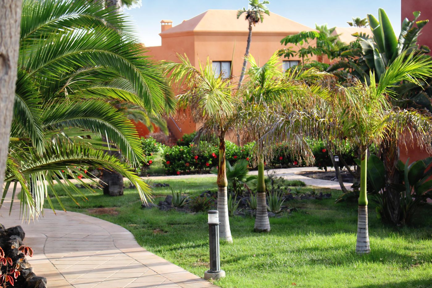 Oasis-Papagayo-Sport---Family-Lobby-15