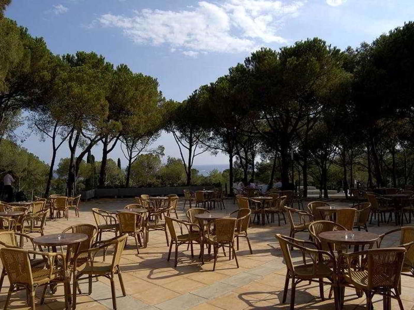 Ciutat-de-Palol-Bar-15