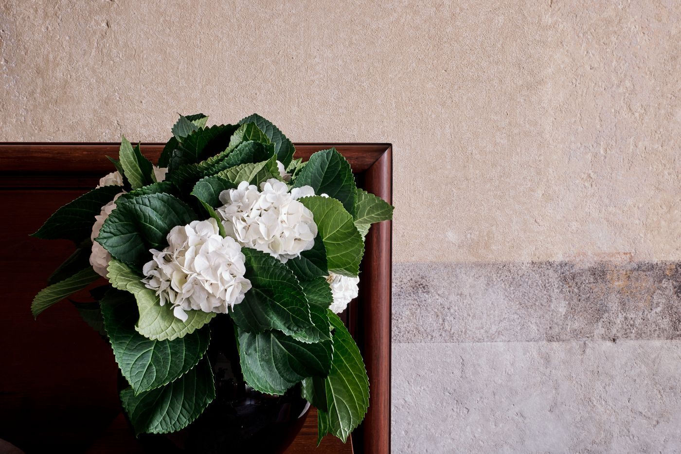 Hotel-Stary-General-view-6