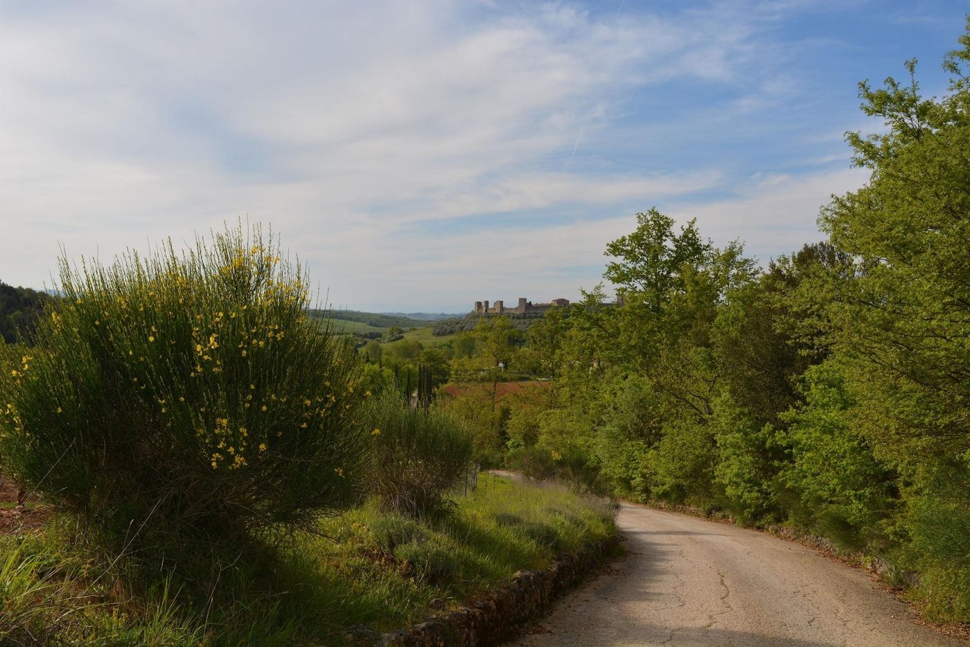 La-Caminata-General-view-2