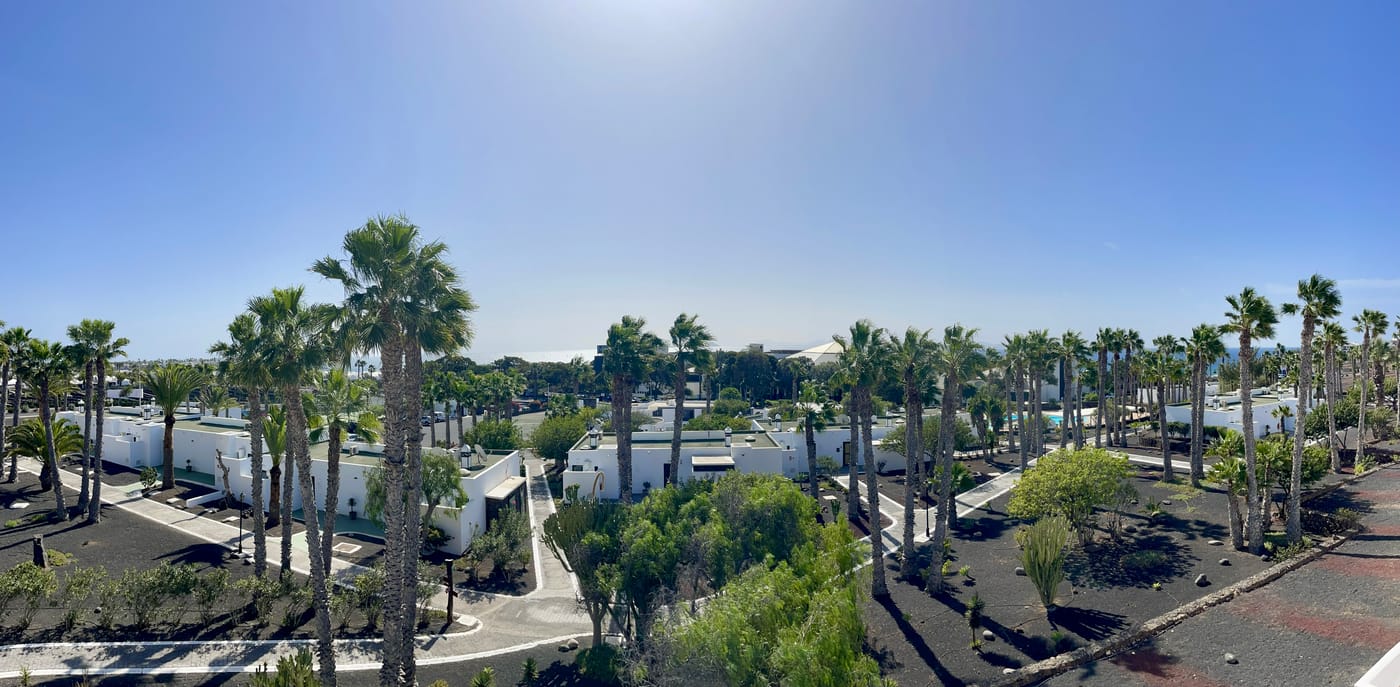 Palmeras-Garden-General-view-11