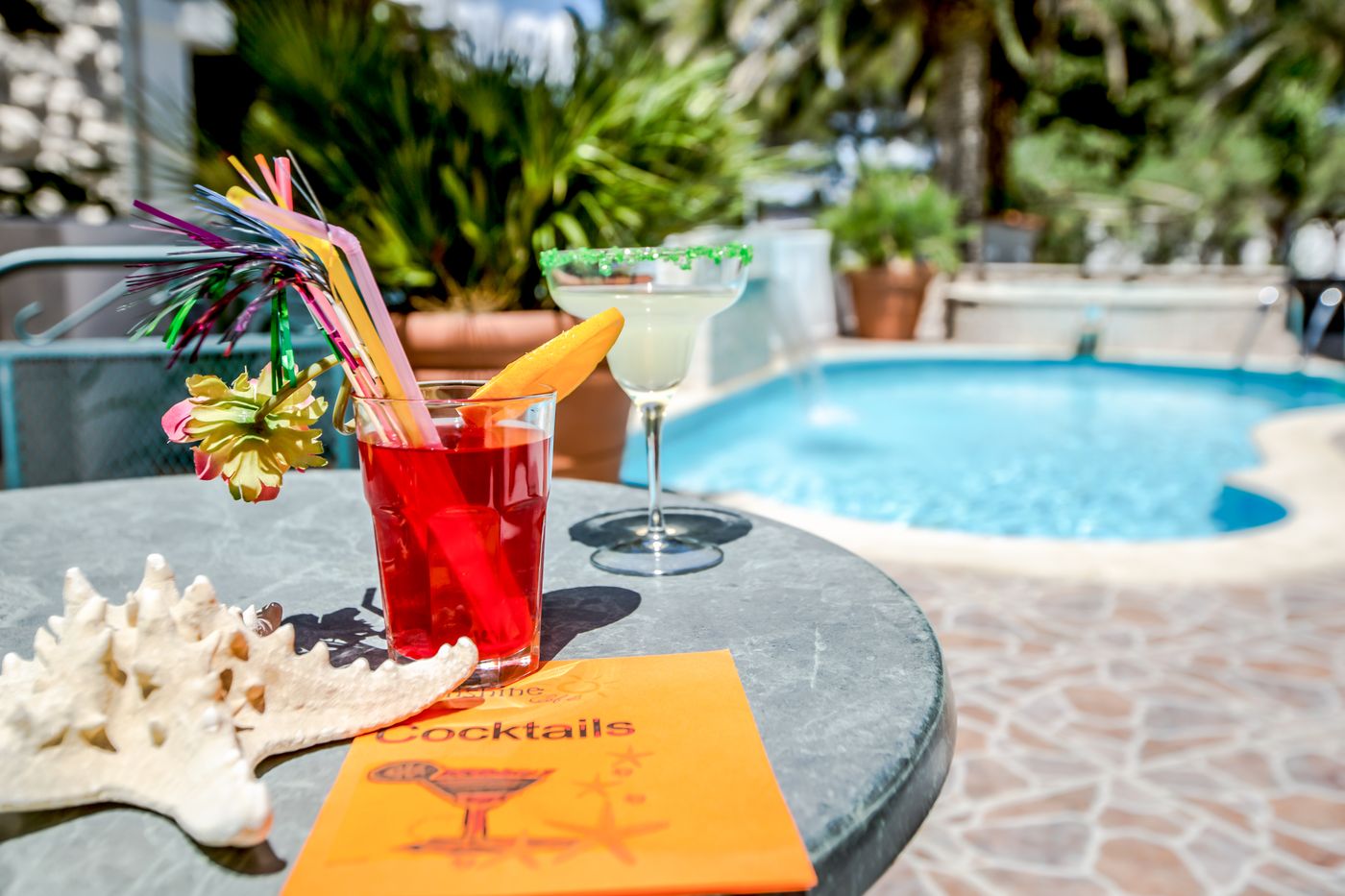 Villa-Adriatica---Adults-Only-Pool-11