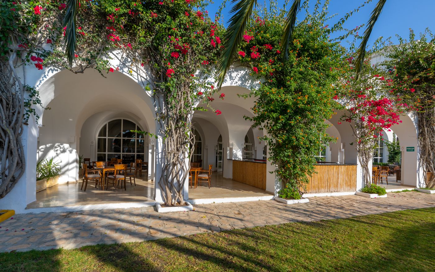 Shalimar Hammamet 23.10