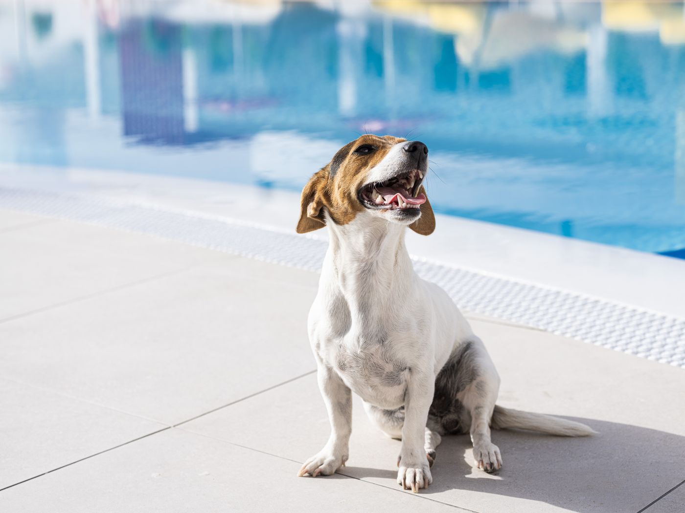 Sholeo-Lodges-Los-Gigantes---Adults-Recommended-Sports-and-Entertainment-15