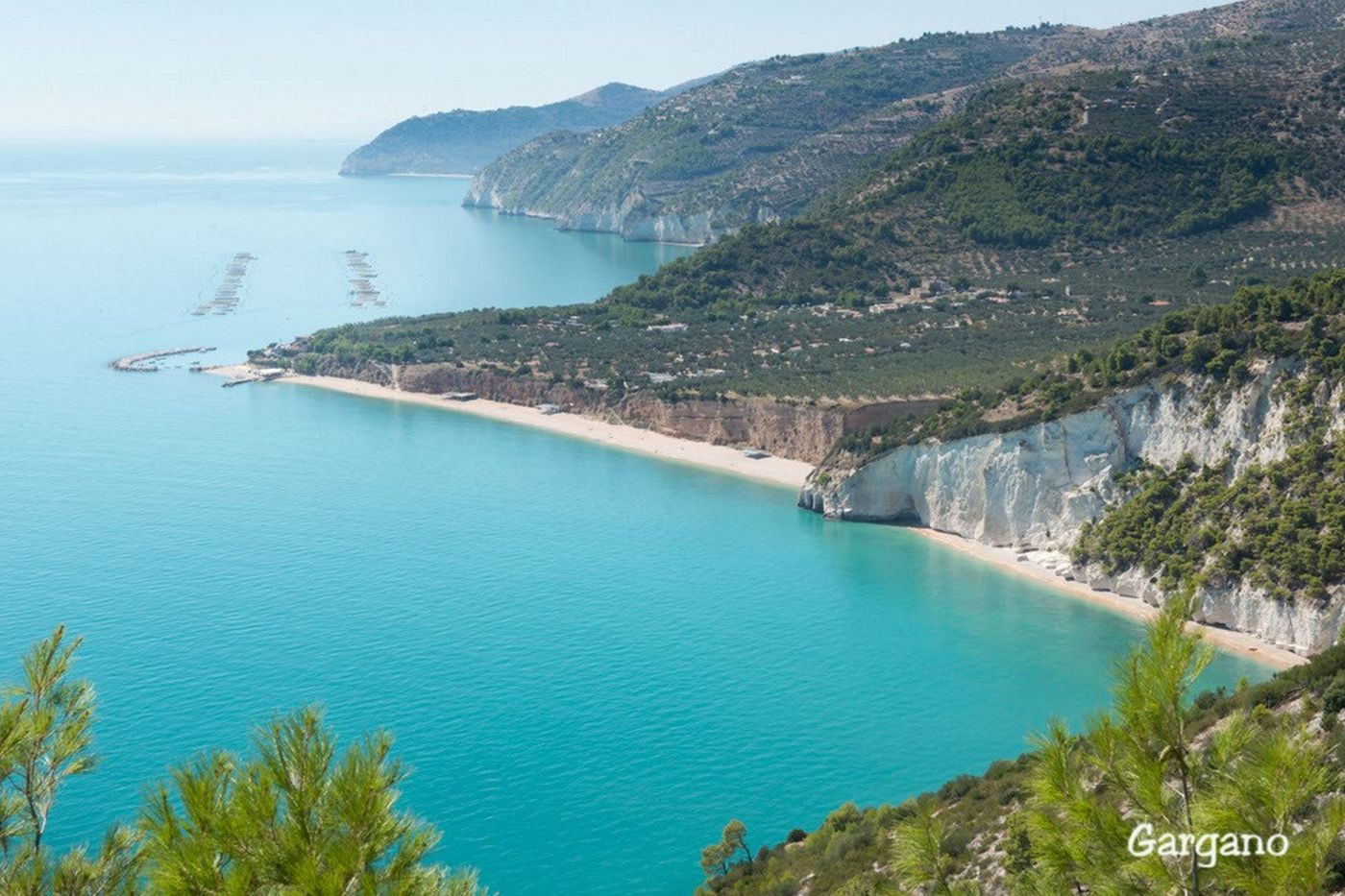 Pizzomunno Vieste Palace Hotel-Italy-VIESTE-General view-1