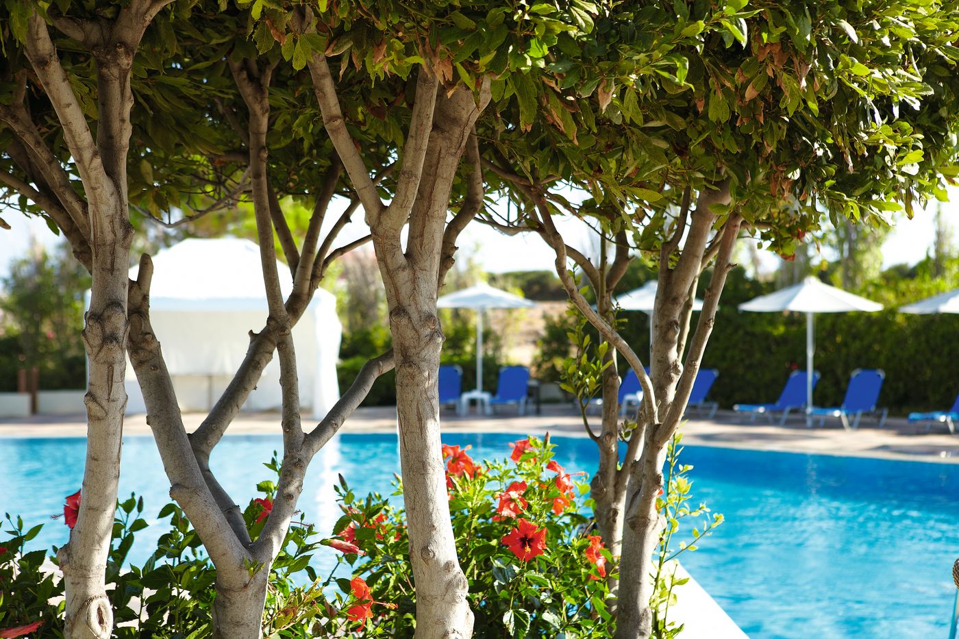 Grecotel Meli Palace