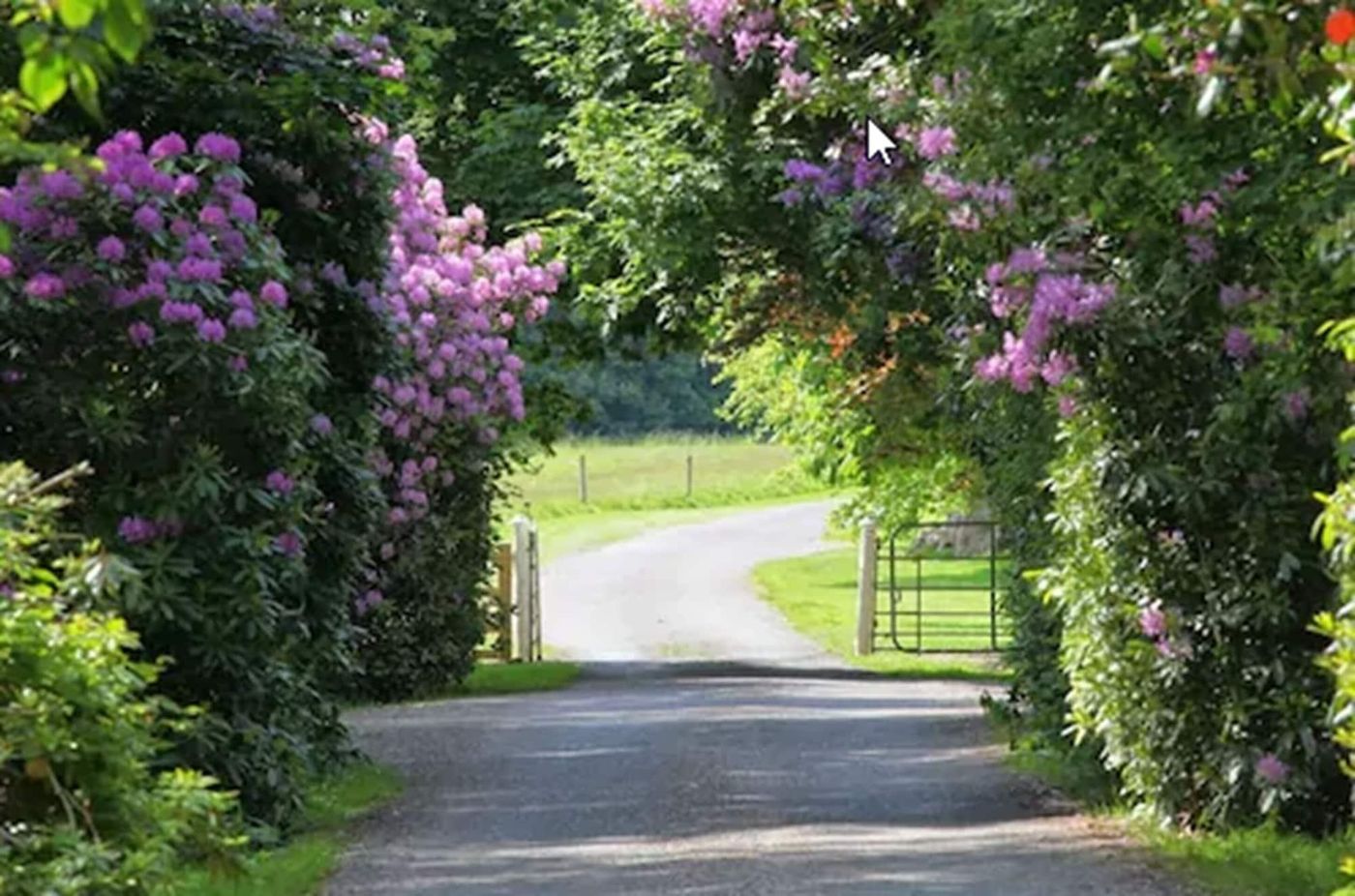 Ballymaloe House - Ireland - Cloyne - General view - 3