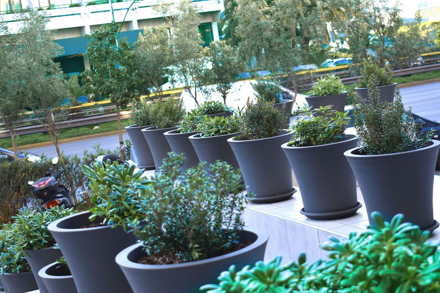 Athenian-Montaza-Hotel-Sports-and-Entertainment-12