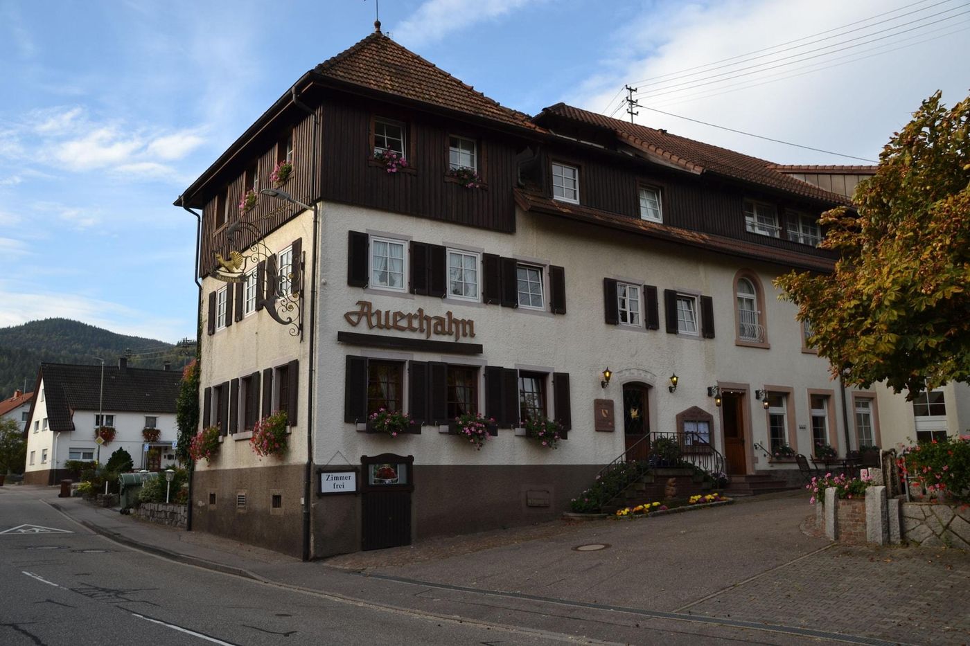 Gasthaus Auerhahn-Germany-BADEN-BADEN -General view-3