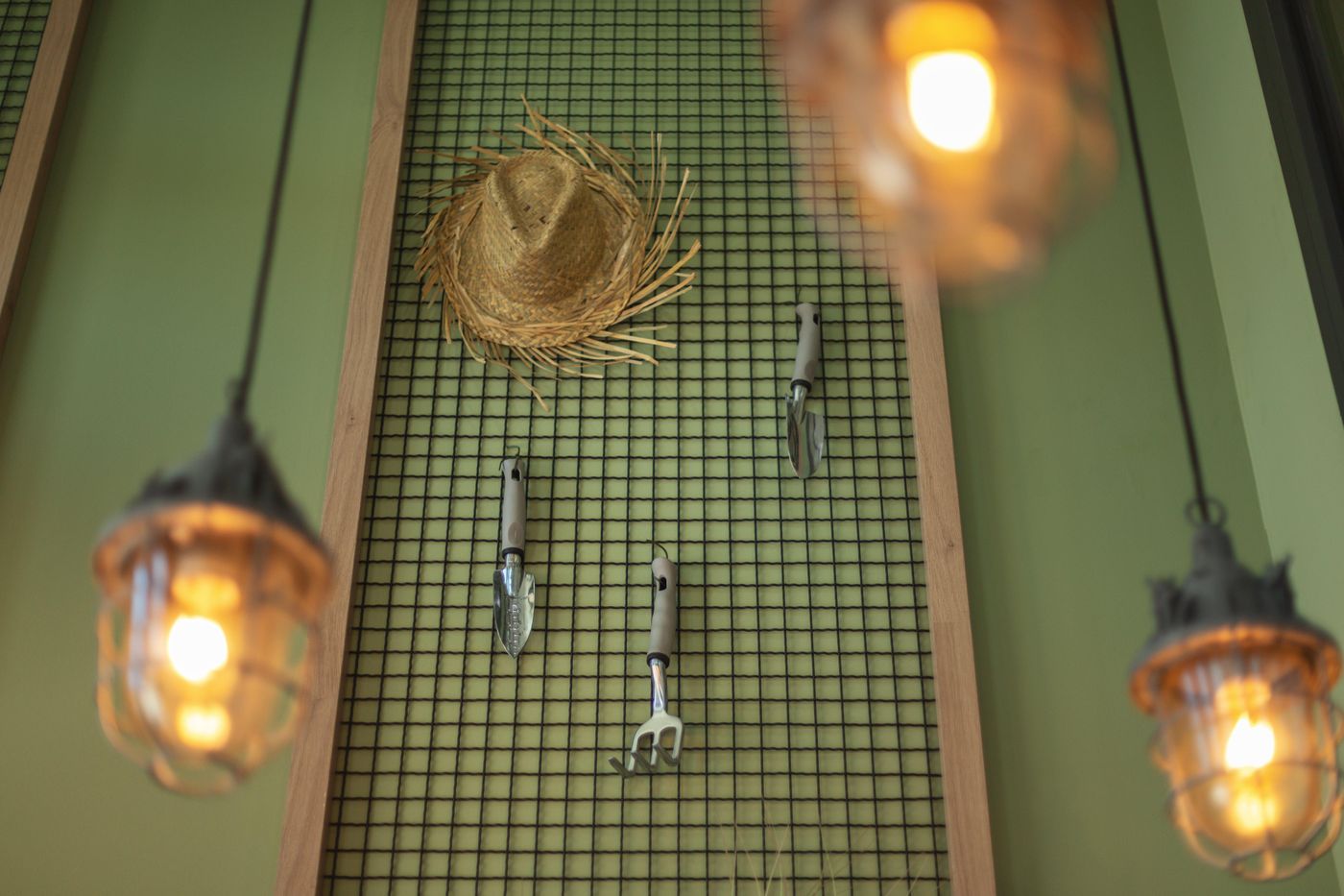 the-niu-Dwarf-General-view-12