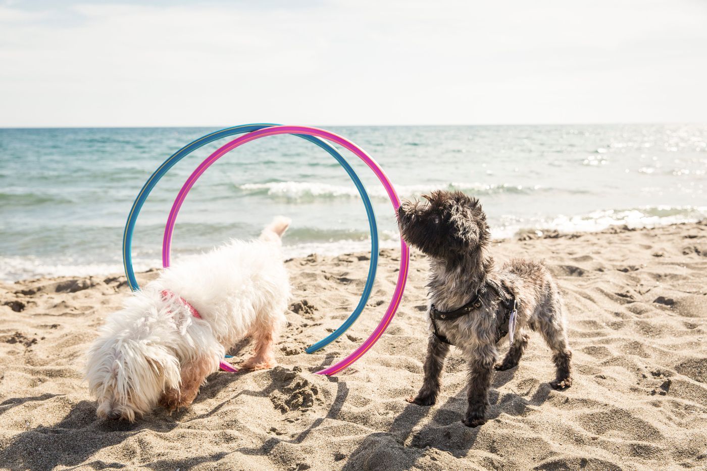 Gitavillage-Le-Marze-Sports-and-Entertainment-49