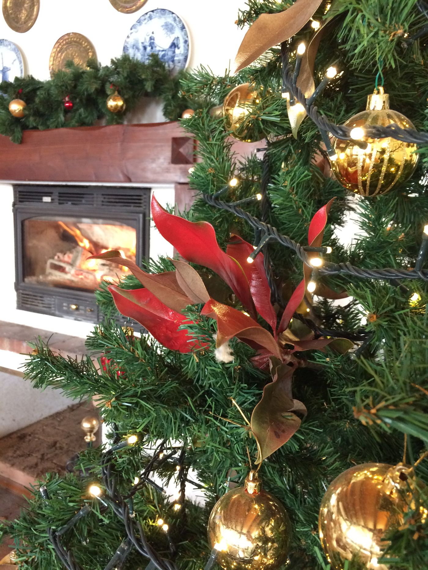 Ca-Tessera-Park-Resort-General-view-17