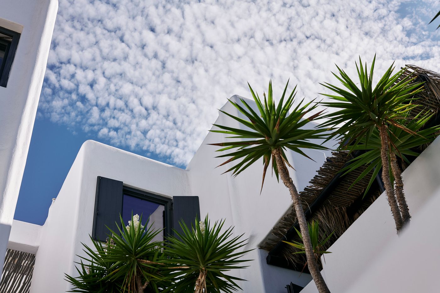 Myconian-Utopia-General-view-13