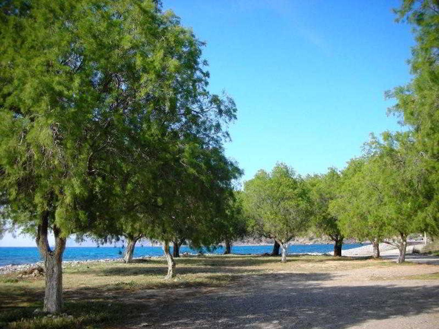 Ledra-Maleme-Beach-61