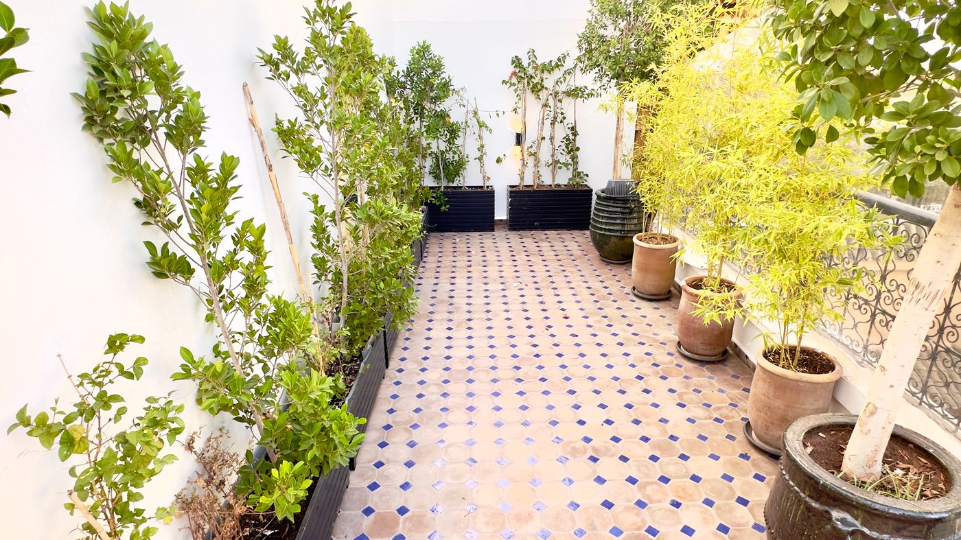 Riad-Diamond-Of-Marrakech-Terrace-22