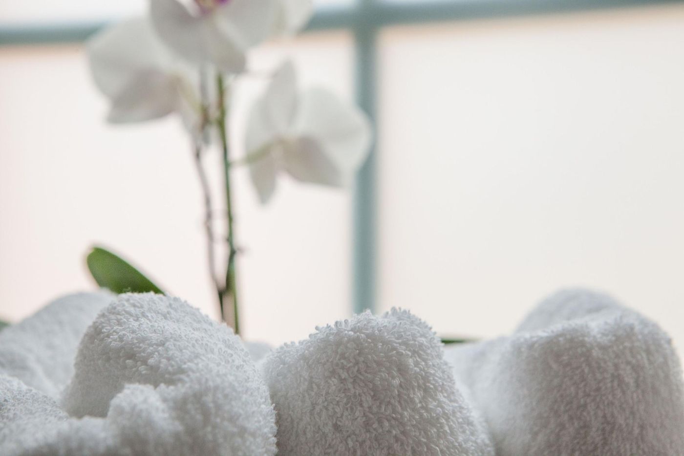 Pension Eulennest - Germany - Laubach - Room - 4