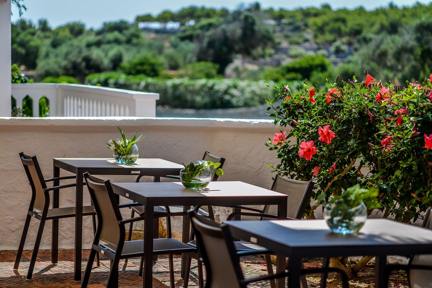 Rural-Sant-Joan-de-Binissaida-Terrace-12