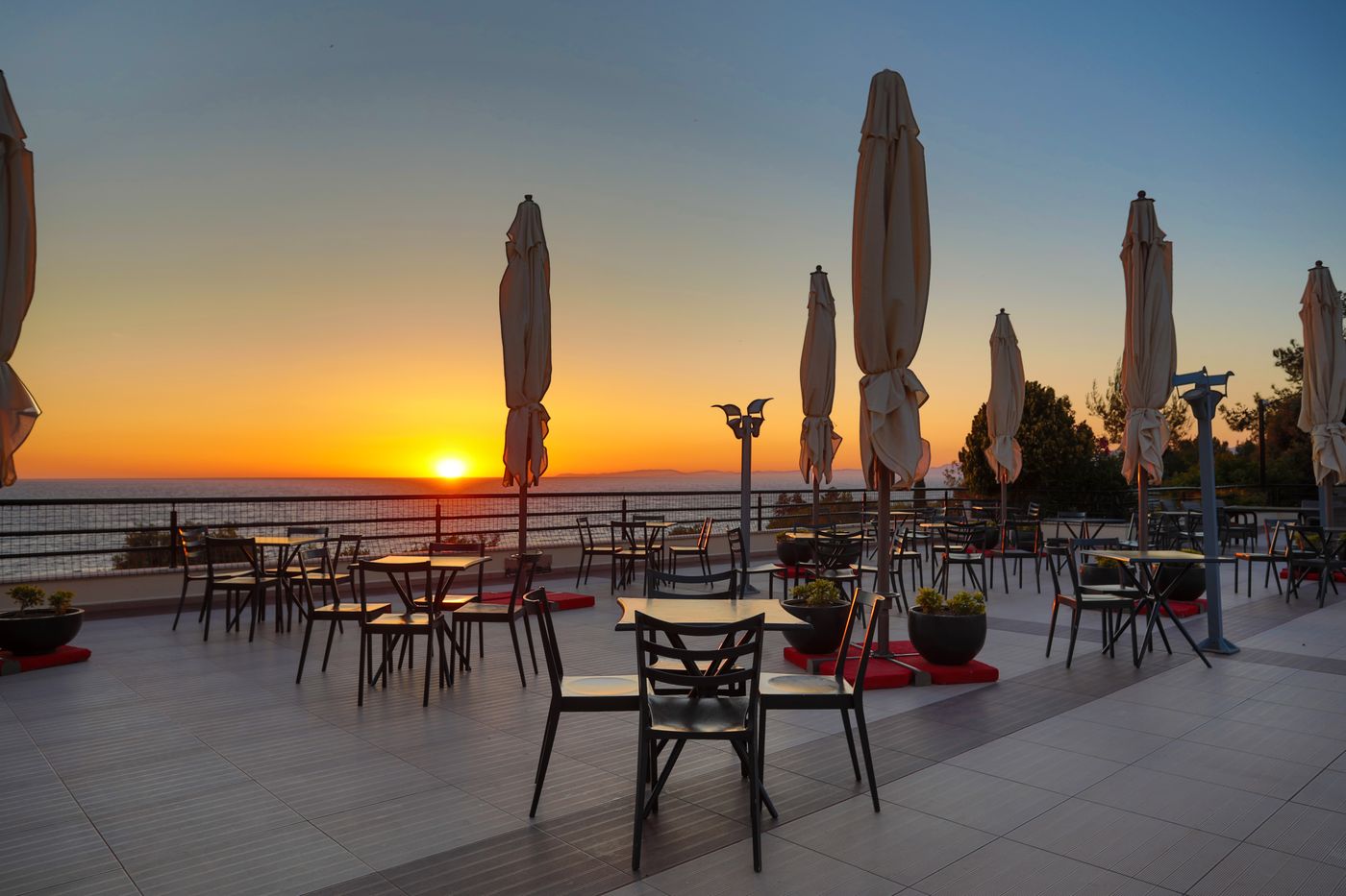 New - Sealight Family Club