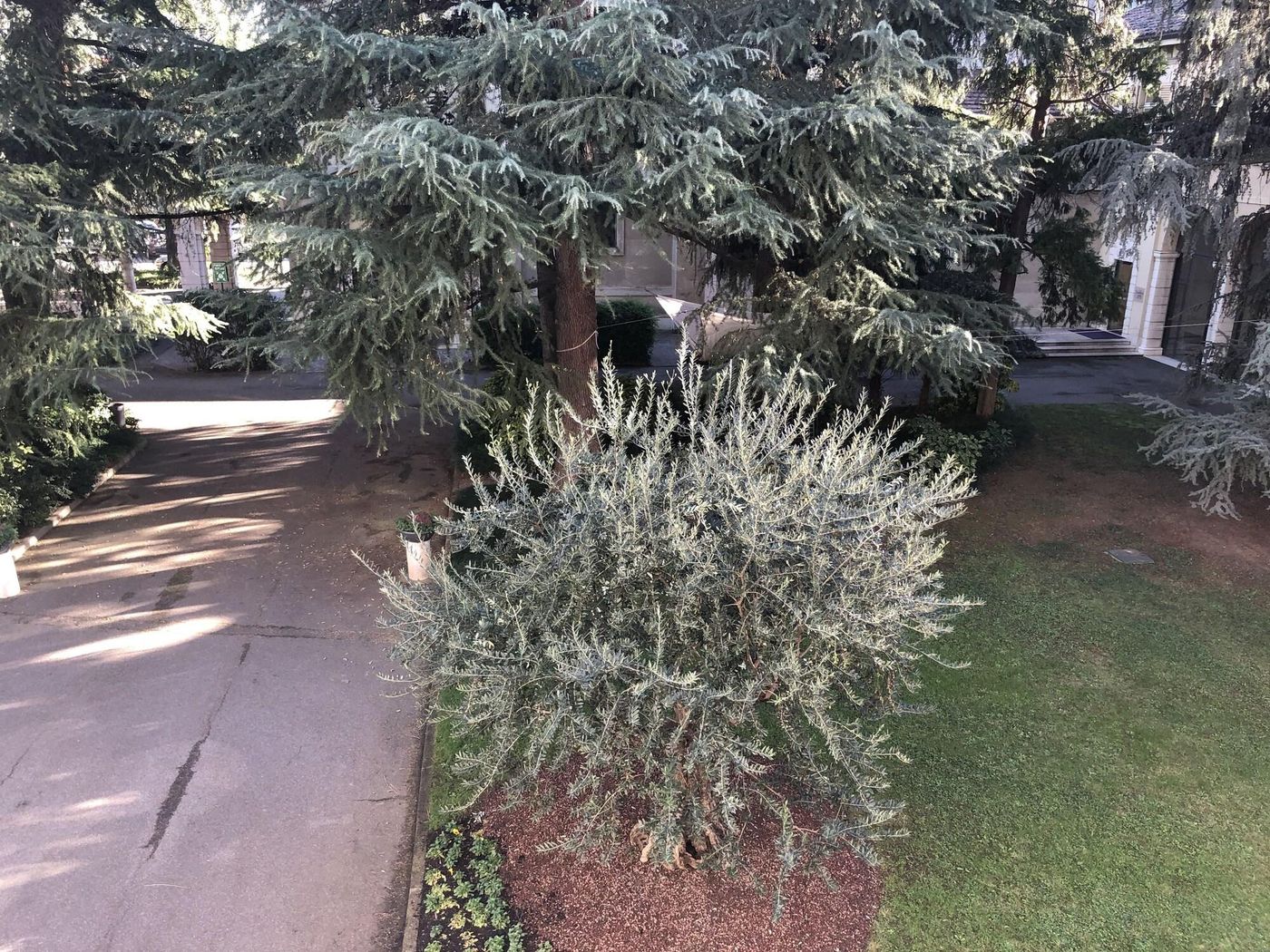 Centro Paolo Vi-Italy-BRESCIA-General view-6