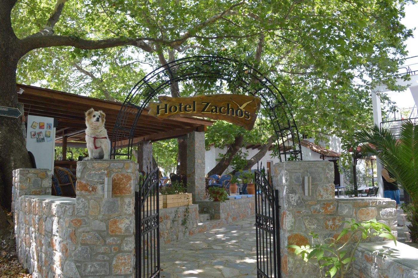 Zachos-General-view-3