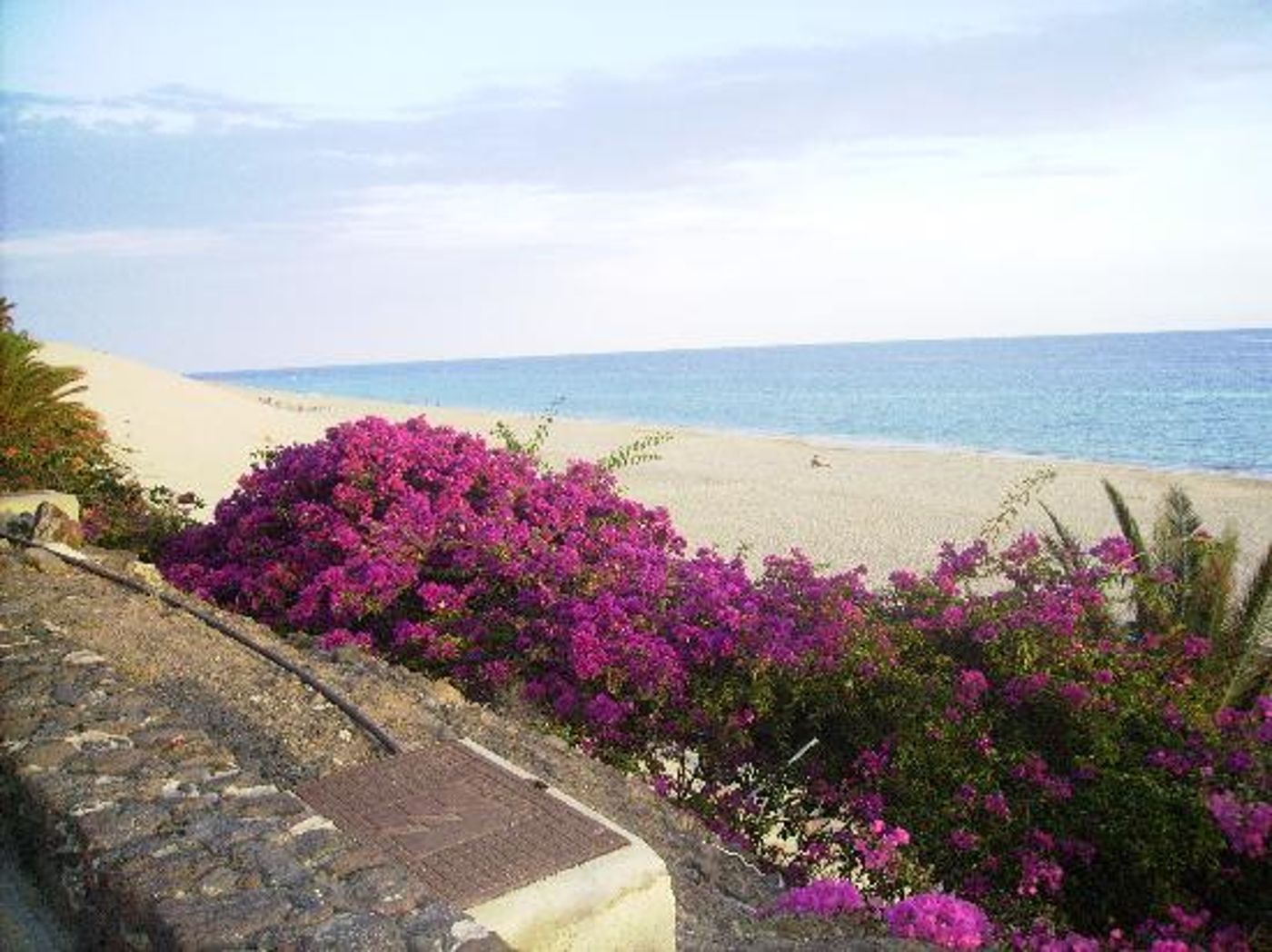 Apartments Punta Marina THe Home Collection