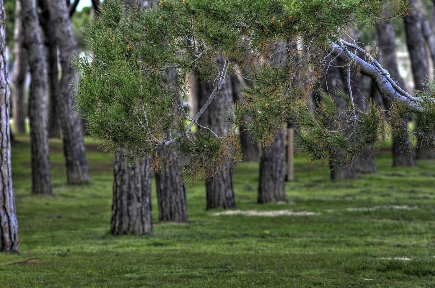 Hotel-Mare-Blu-General-view-20