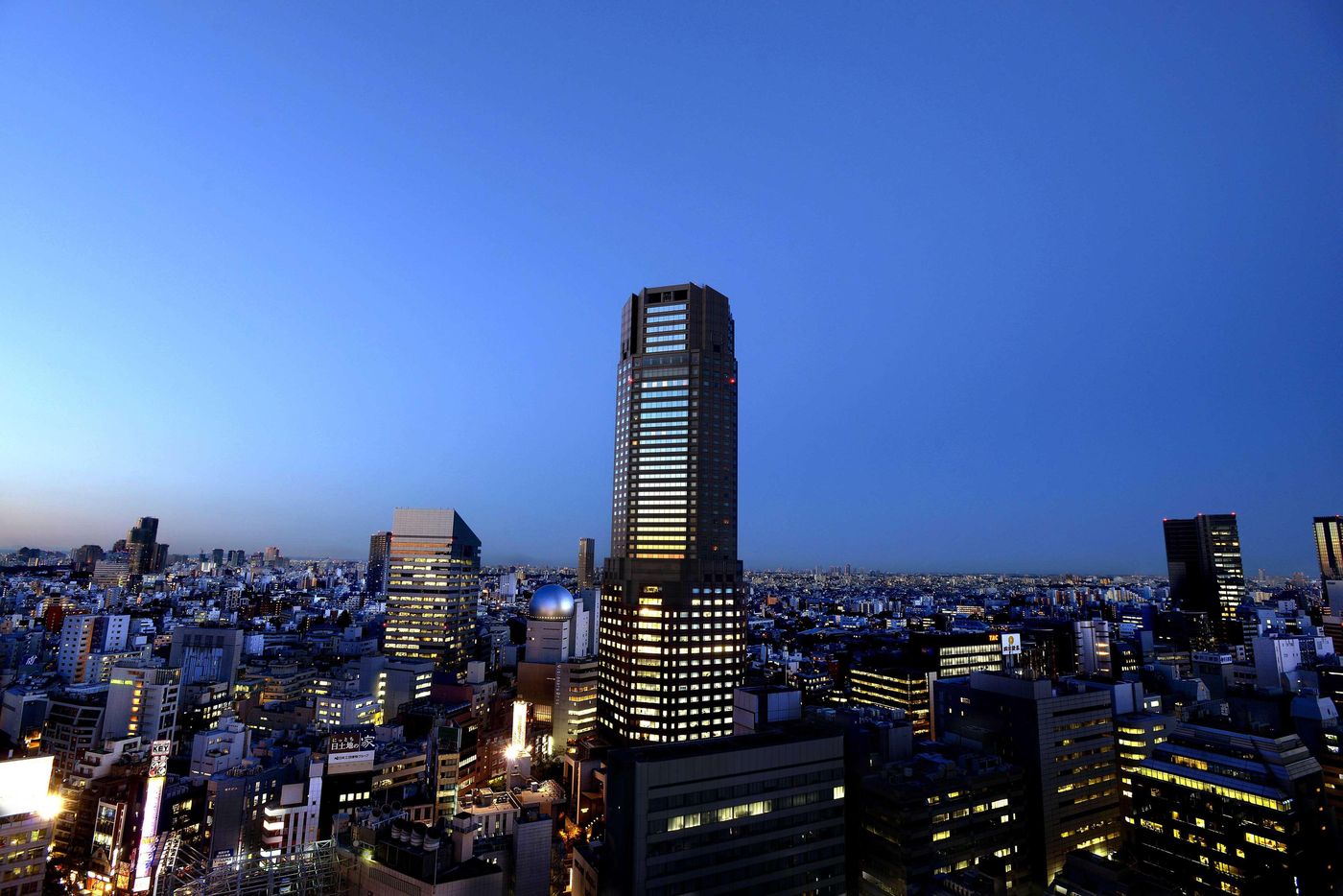 Cerulean Tower Tokyu Hotel-Japan-Shibuya Ku-General view-5
