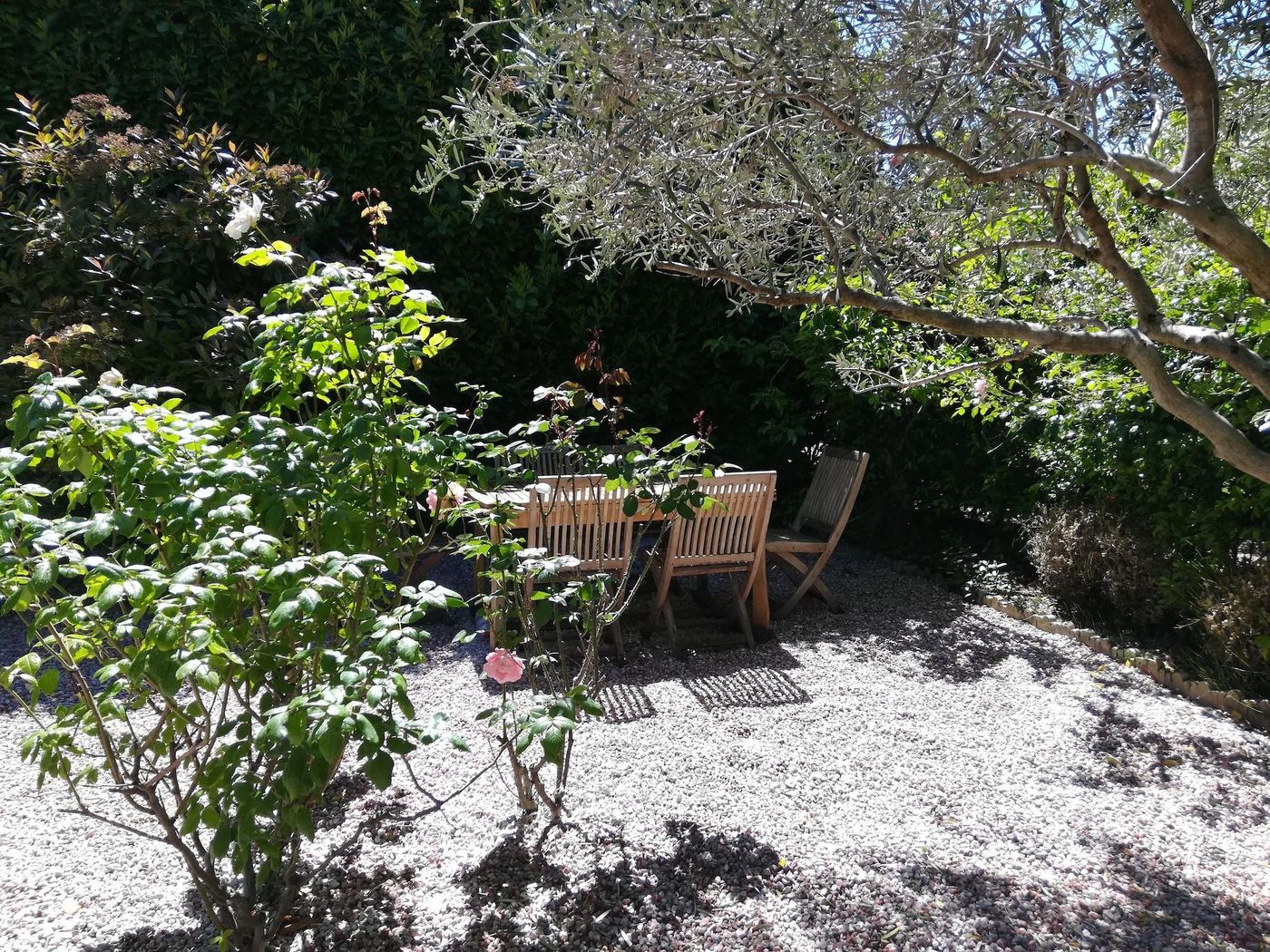 Villa Angel-France-CAUNES-MINERVOIS-General view-10