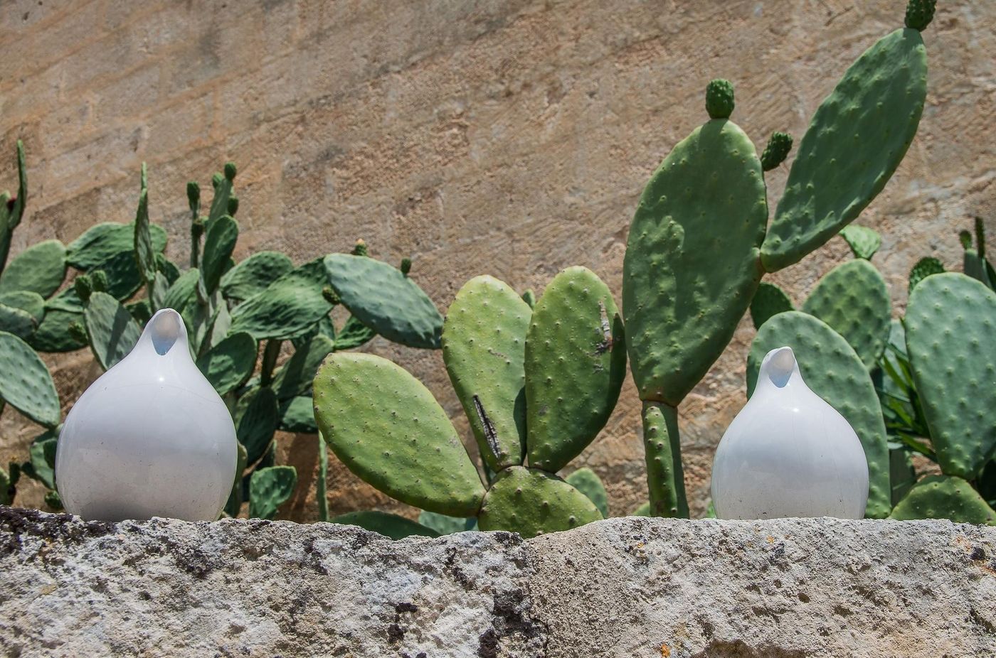 Masseria Santa Lucia-Italy-MATERA-General view-5